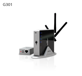 G301